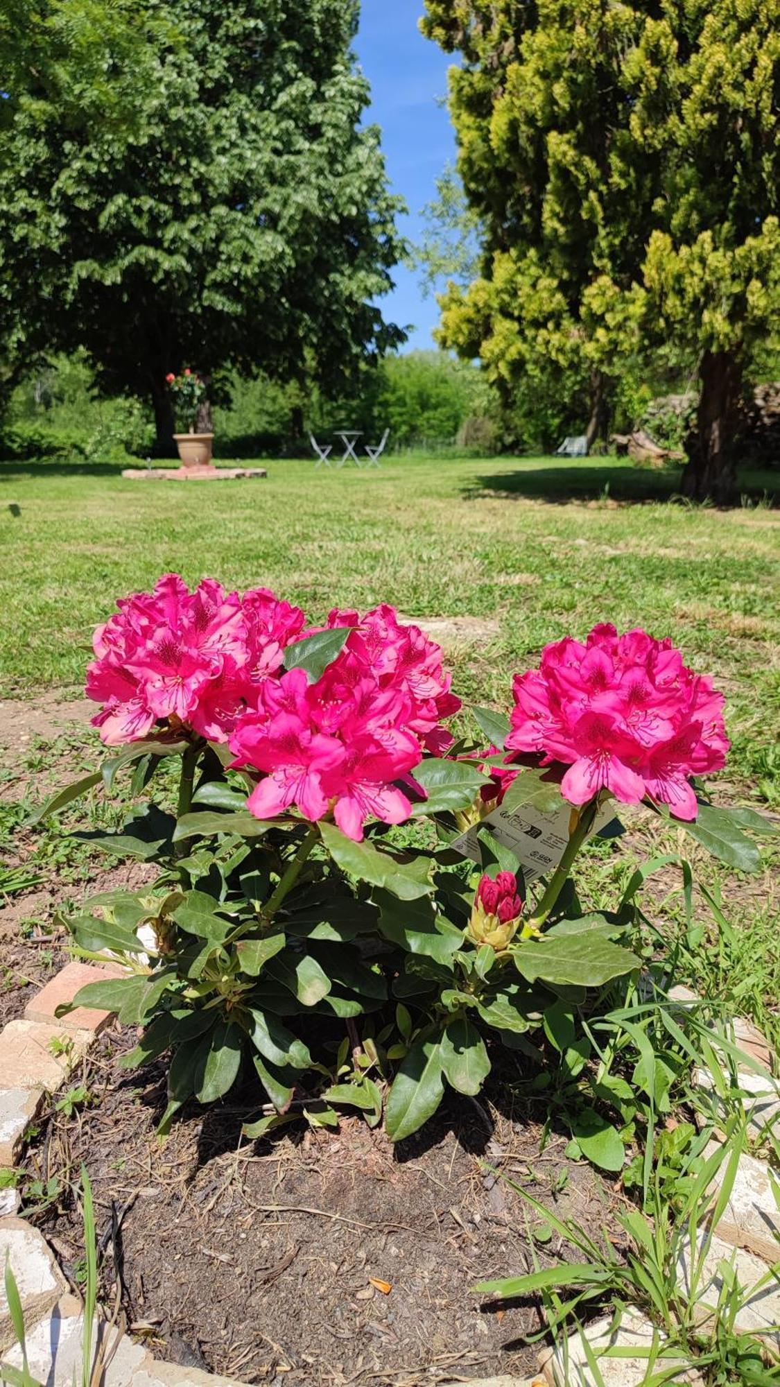 La Rose Paisible Hotel Brusson Bagian luar foto